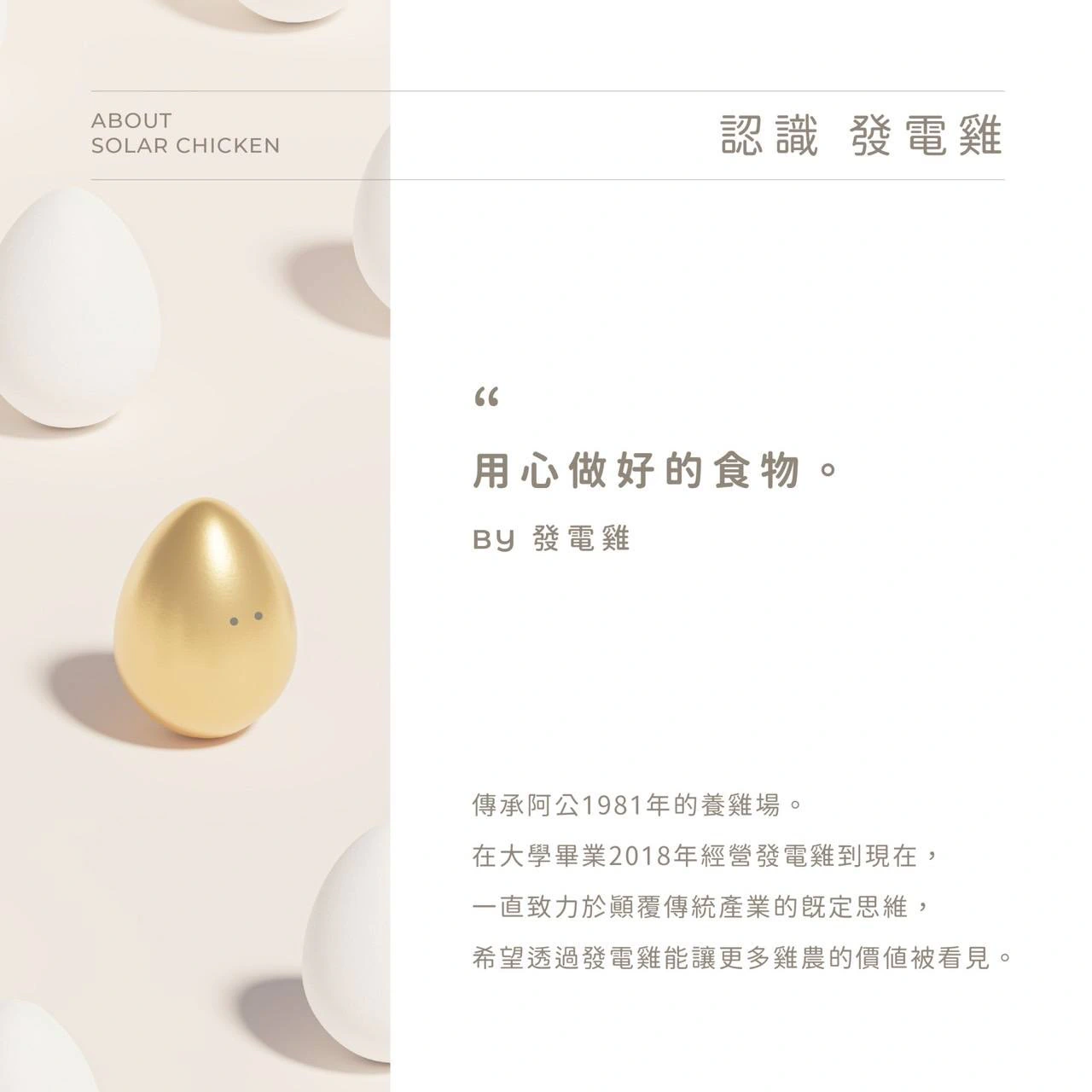 發電雞識別設計專案｜設計作品展示 16